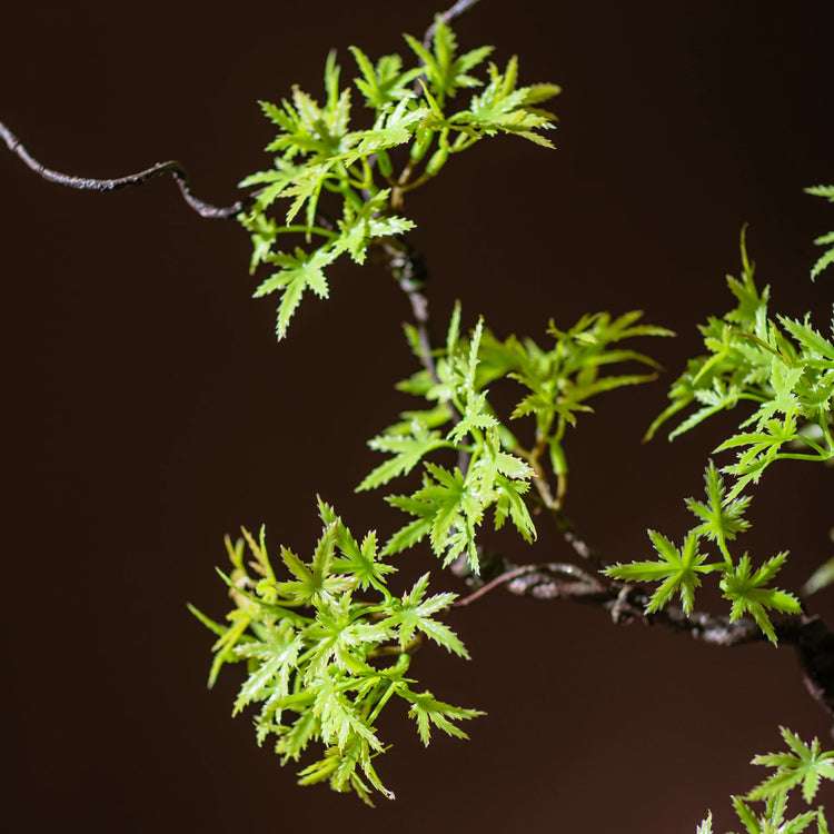 Tidal Vibes artificial-green-plants-to-welcome-guests-pine-maple-leaves-fake-flower