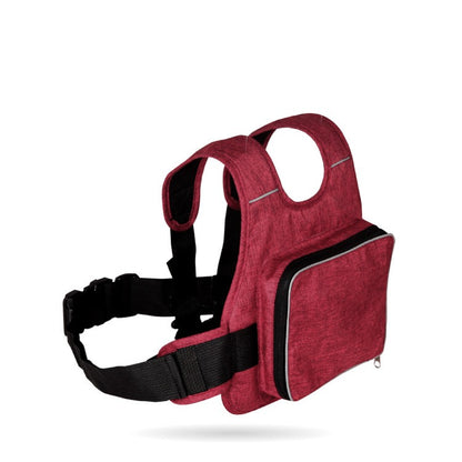Tidal Vibes motorcycle-child-safety-belt